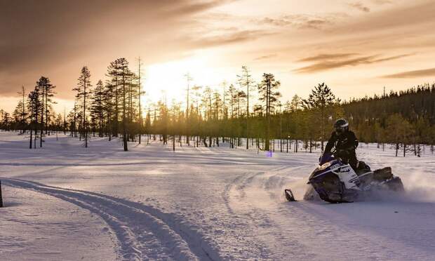 Зимние национальные парки России: где снег лежит нетронутым, а лоси выходят к дорогам