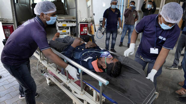 Эпидемиолог Дедков: вирус Нипах не опасен для россиян, средства выявления есть