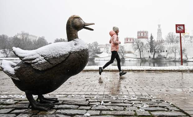 Москве предрекли возвращение снежного покрова