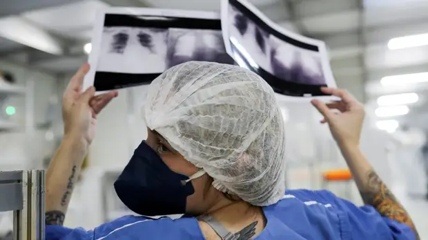 Число случаев инфицирования COVID-19 в Бразилии превысило 177 тысяч