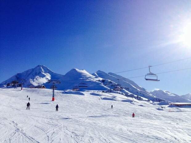 Волком-преследователем на горнолыжной трассе в Домбае оказалась дворняжка