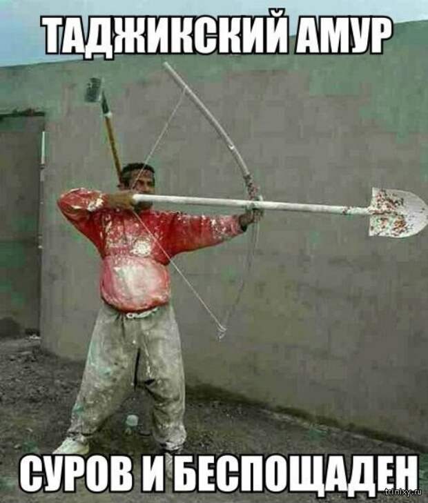 Смешные картинки с надписями