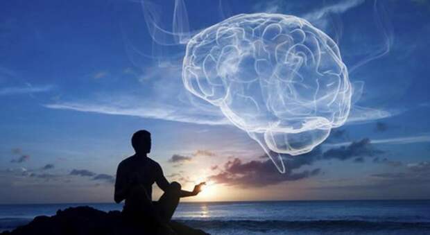 IQ 11-летней девочки превысил показатели Альберта Энштейна и Стивена Хокинга