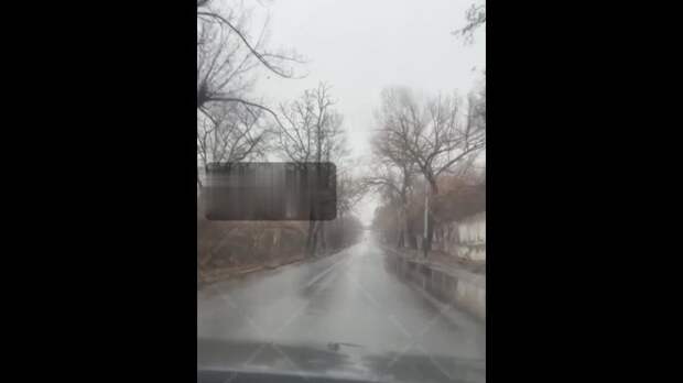 Video: com.bongasoft.addremovewatermark_VID_20241212_105119_088.mp4