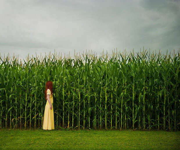 У края. Фото: Patty Maher.