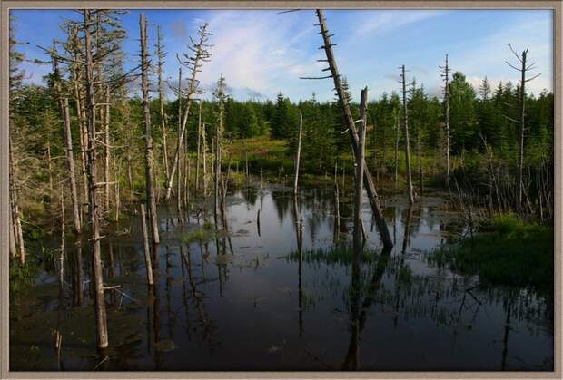 sakhalin09.jpg