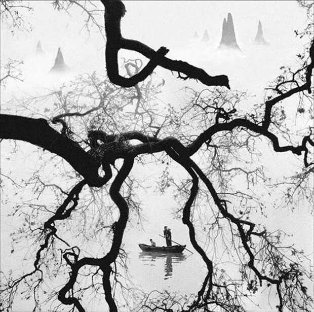 fan ho 10
