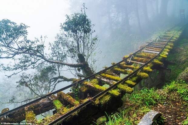 Заброшенный участок на бывшей лесной железной дороге Цзянси в Национальном парке Тайпиншань на Тайване