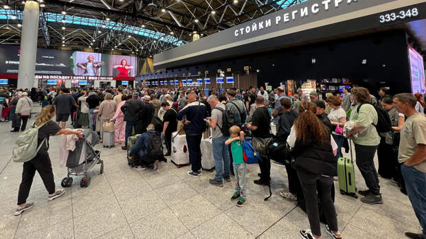 Прокуратура проводит проверку из-за задержки рейсов в московских аэропортах