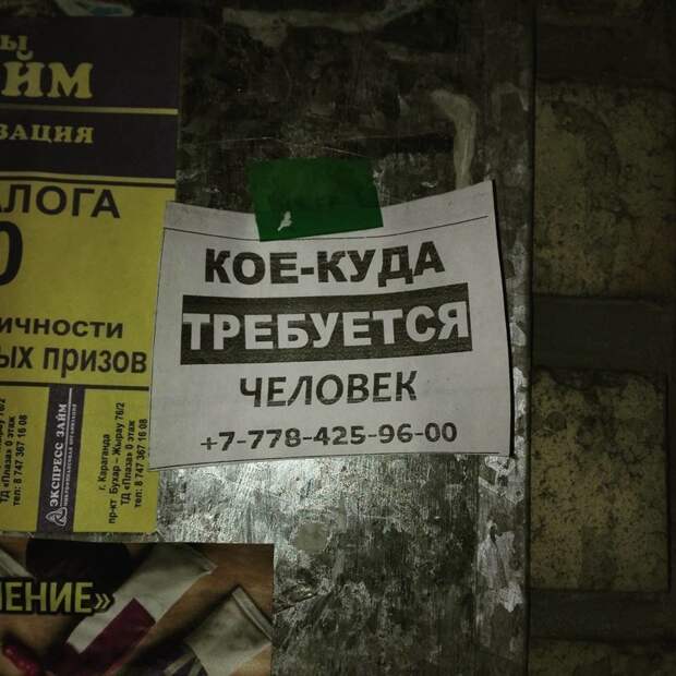 Мастерские объявления, передающие самую суть Мастерские объявления, передающие самую суть