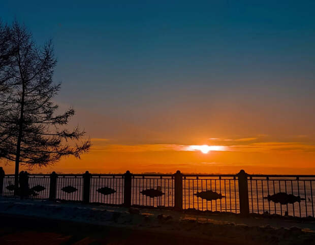 Произошел шторм века: январь 2026 вошел в историю космической погоды