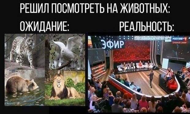 Не смотрите телевизионные программы перед обедом