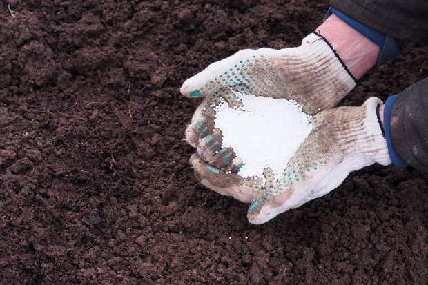ПНИПУ: увеличить производство удобрений можно с помощью ультразвука и крахмала
