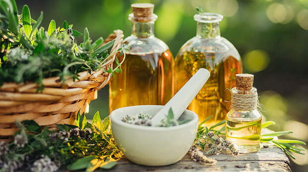 Сушеница для детокса