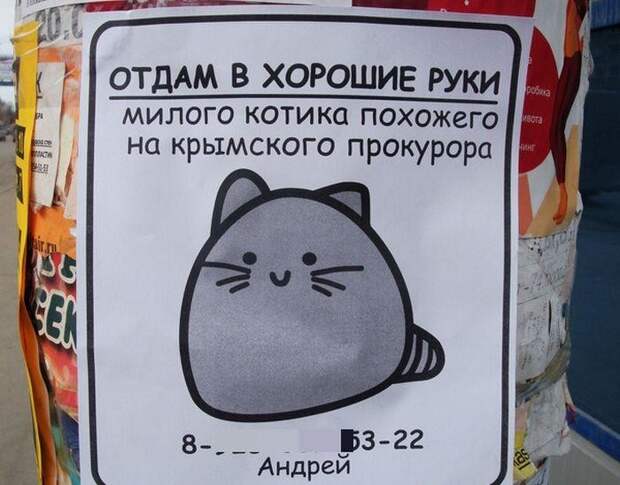 Няш Мяш Няш Мяш в хорошие руки, отдам даром, прикол, юмор