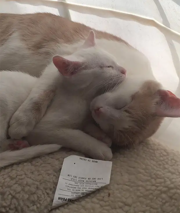 : 50      - 43 - BigPicture.ru