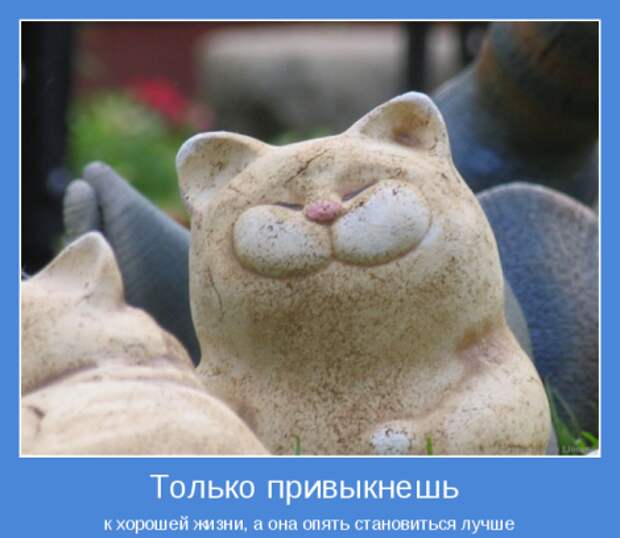 Позитивные мотиваторы с глубоким смыслом (10 фото) Позитивные мотиваторы с глубоким смыслом (10 фото)