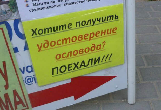 Удостоверение ословода - нужная вещь. Удостоверение ословода - нужная вещь.