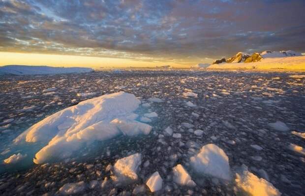 13. Пятый по величине континент антарктида, история, наука, невероятно, факты