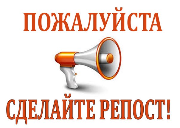 До хрипоты кричала от страха гладенькая, толстенькая, явно домашняя кошечка...