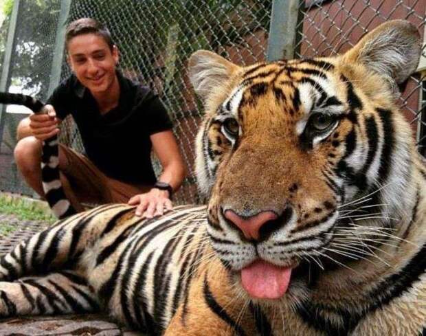 Фотографии с юмором и приколами Фотографии с юмором и приколами