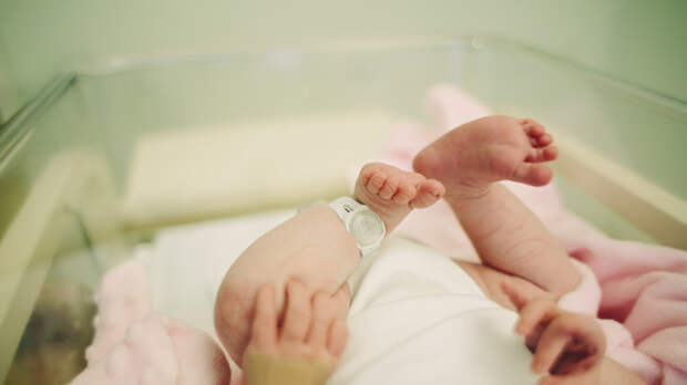 В Петербурге родилась первая в России «однояйцевая» четверня