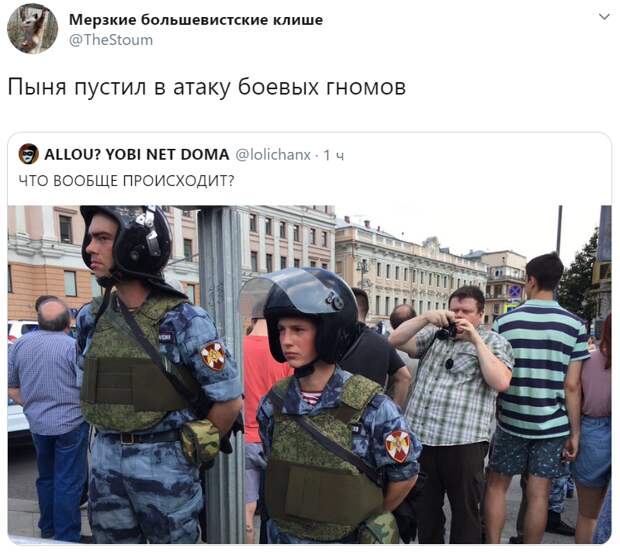 маленький полицейский на митинге