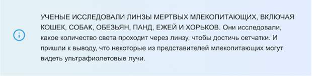 Наука подтверждает: кошки и собаки могут видеть «духов»!