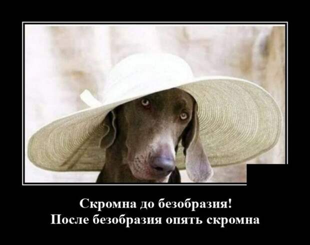 Демотиватор про женскую скромность