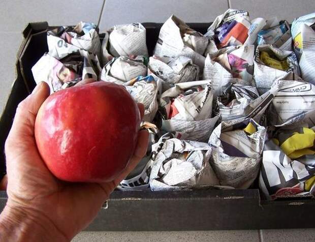 Подготовка яблок на зиму. Фото с сайта ekosad-vsem.ru