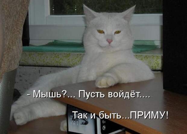 Мысли вслух :)