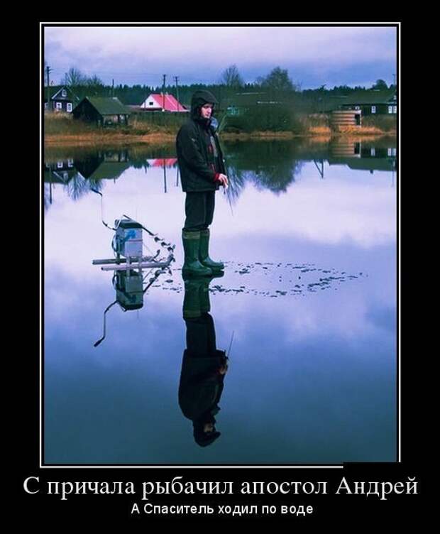 Свежая подборка демотиваторов для хорошего настроения! Свежая подборка демотиваторов для хорошего настроения!