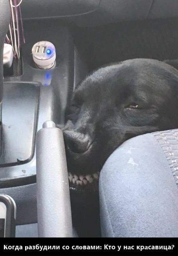 Юмор и психология