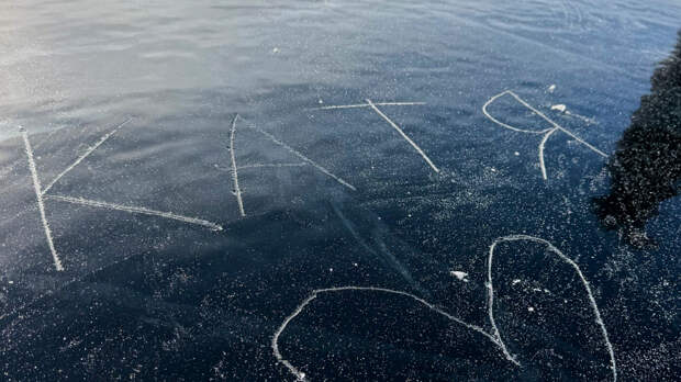 «Его слюни продаю»: сколько стоит кусок льда, который лизнул SHAMAN