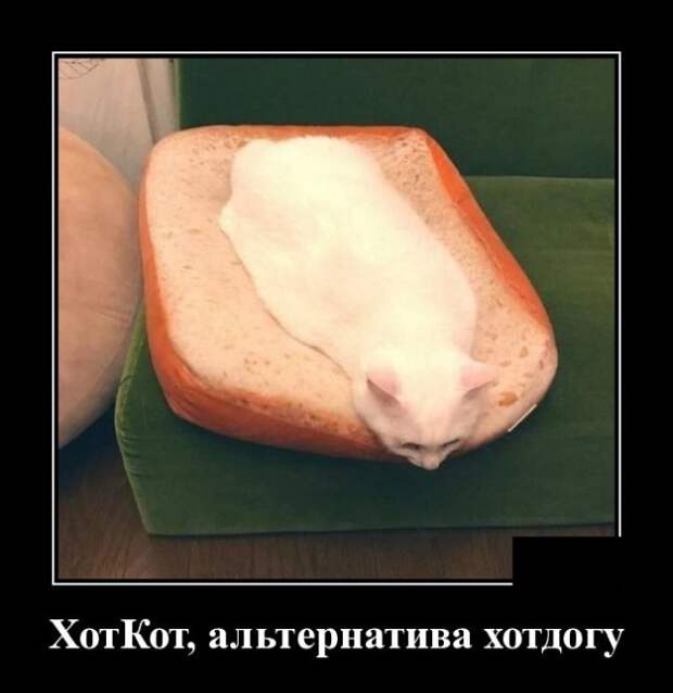 www.vsyako.net