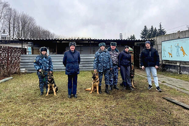 Тульские кинологи передали трех щенков немецкой овчарки коллегам из Рязанской области