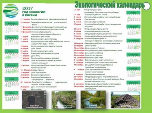Проблема исчезновения тропических лесов рисунок. Мир глазами эколога. 4 класс Окружающий мир Рабочая тетрадь-какие ответы?