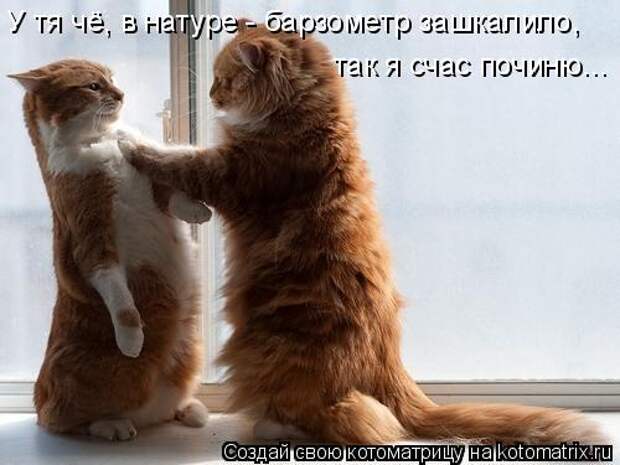 Мысли вслух :)