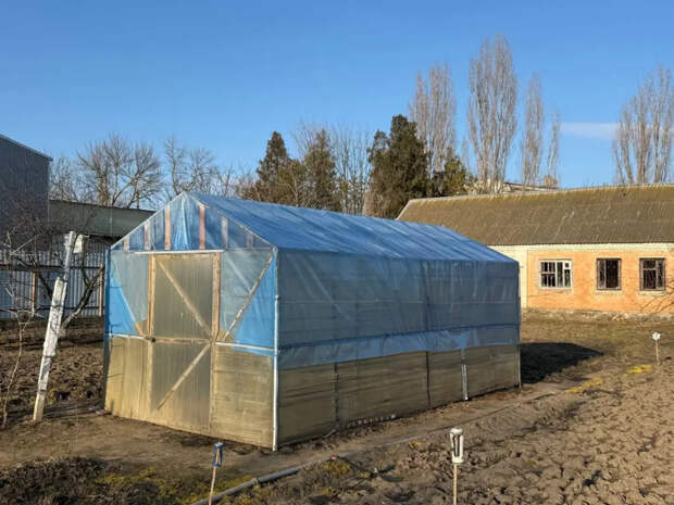 Посейте холодостойкие овощи до 26 апреля: полный список культур для ранней весны