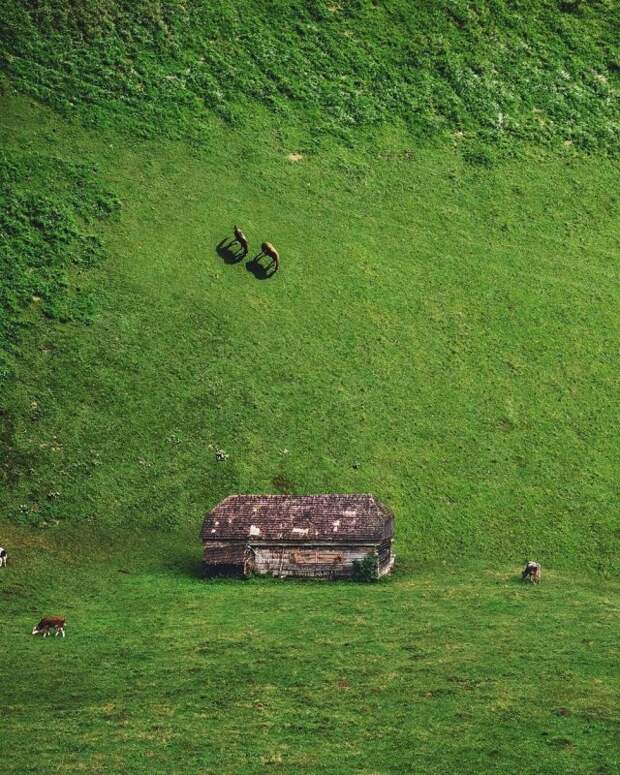 Удивительные фотоманипуляции из сновидений