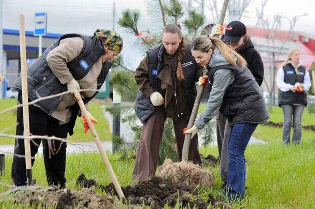 В Майкопе озеленят около 20 городских пространств