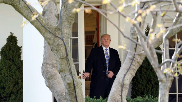В Белом доме подтвердили, что Трамп предлагал Путину встречу в Вашингтоне