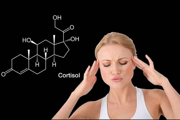 Кортизол известен как "гормон стресса", потому что его уровень повышается в ответ на стресс