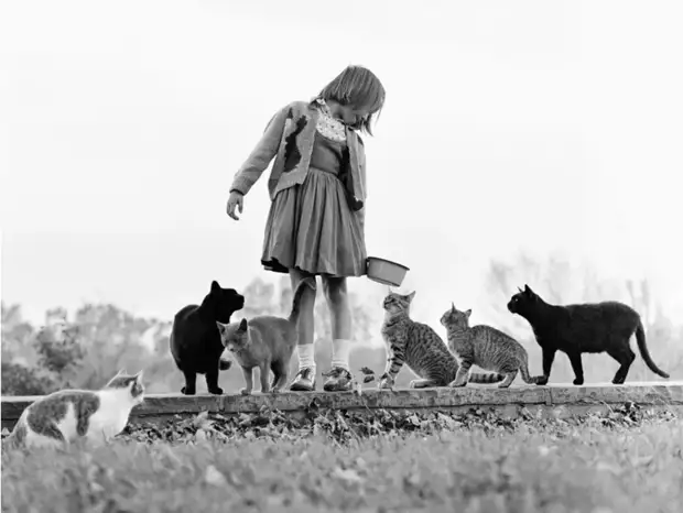 ������ ������� � �������, ������� 70 ��� �������������� �����   8