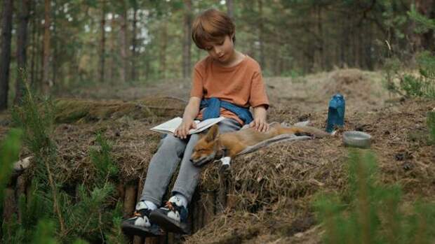 Вышел трейлер новой семейной картины «Мой дикий друг. Возвращение домой»