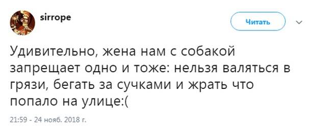Шутки и картинки из социальных сетей (20 скриншотов)