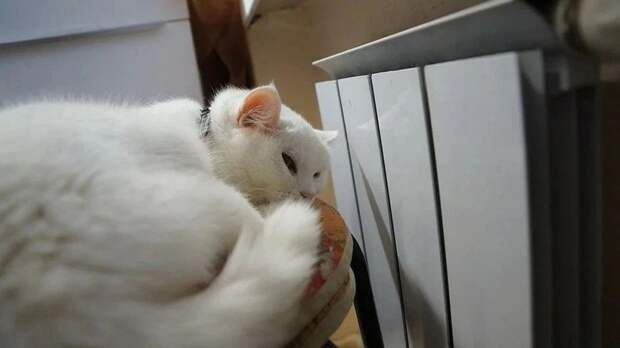 Отопительный сезон в Симферополе: батареи остынут, когда закончится похолодание