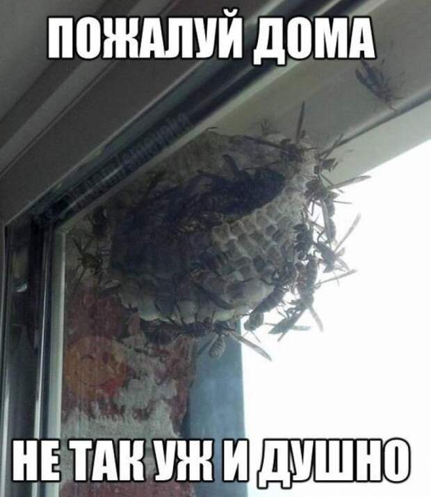 ow8euGWBq4Y