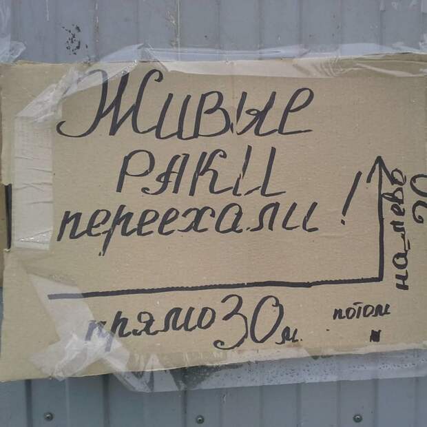Мастерские объявления, передающие самую суть Мастерские объявления, передающие самую суть