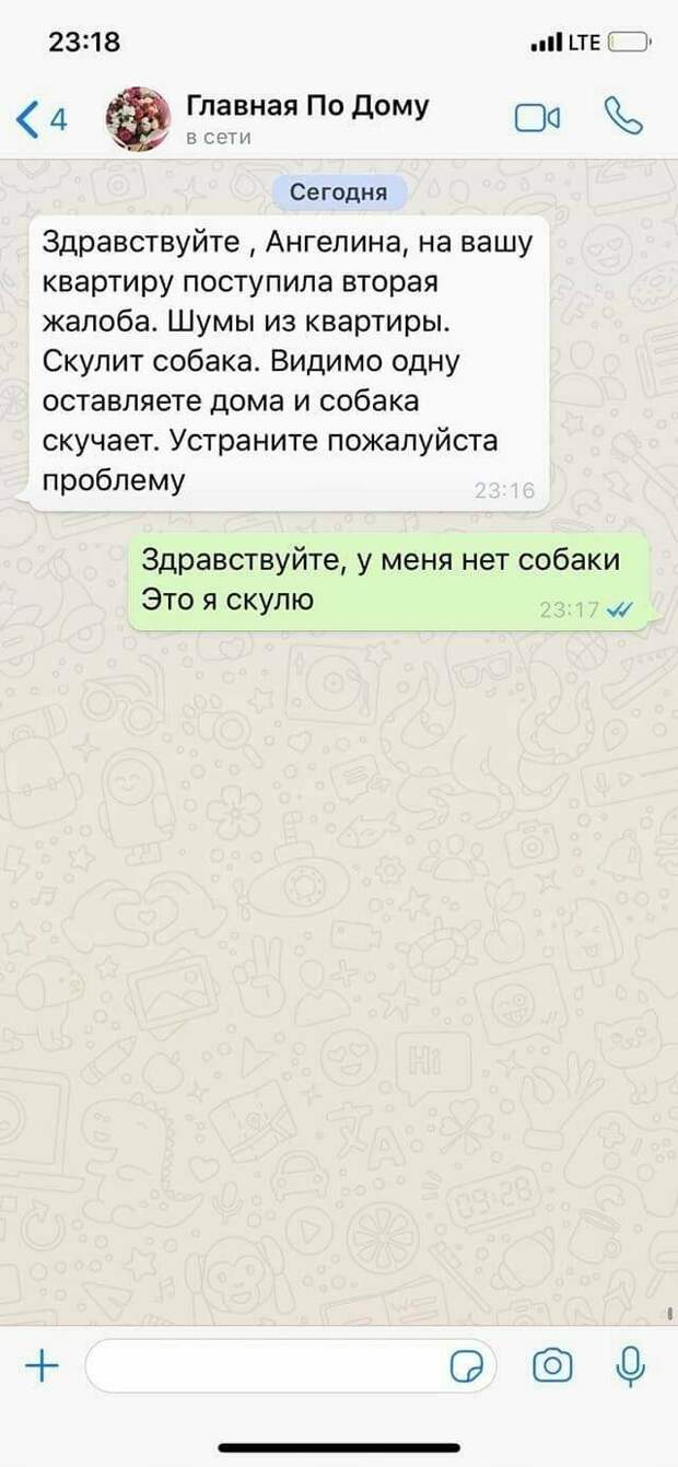 Женщины иногда даже сами себя не понимают Женщины иногда даже сами себя не понимают женщины и мужчины, откровения, приколы, смешно, соцсети, твиттер, юмор